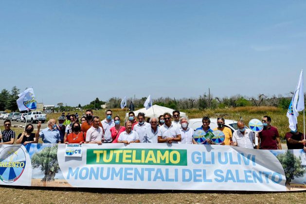Mrs in campo, un atto di dignità per i tronchi degli ulivi colpiti dalla Xylella - Corriere Salentino