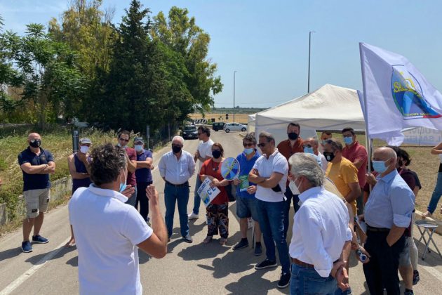 Mrs in campo, un atto di dignità per i tronchi degli ulivi colpiti dalla Xylella - Corriere Salentino