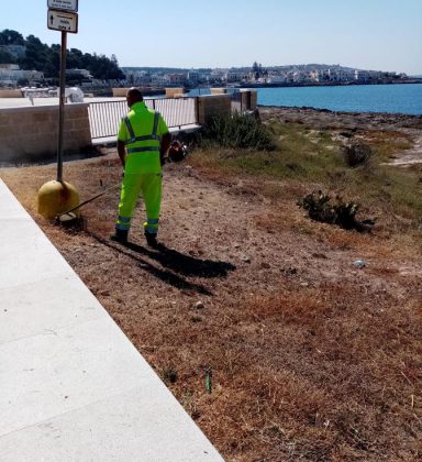 Marine di Nardò, task force al lavoro per la pulizia di scogliere e arenili - Corriere Salentino