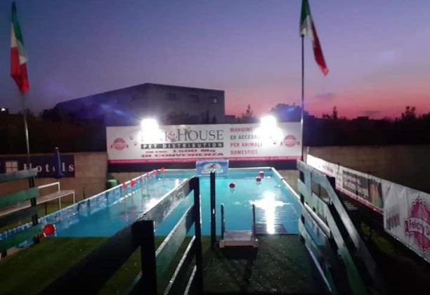 Riapre alle porte di Lecce il "Dog Swim Center": piscina per cani che amano le attività in acqua - Corriere Salentino