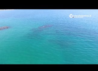 Alle Cesine e nelle marine leccesi gli insediamenti dell’età del bronzo e strutture dell’epoca romana: il recupero di testimonianze preziose