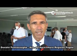 “PugliaWineWorld”, presentata la piattaforma digitale per valorizzare le eccellenze vinicole pugliesi