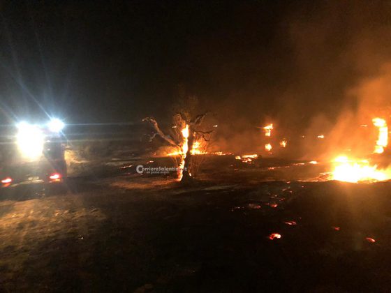 Divampa vasto incendio sulla via per il mare: fiamme minacciano anche le case - Corriere Salentino