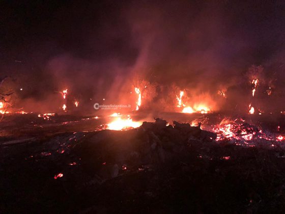 Divampa vasto incendio sulla via per il mare: fiamme minacciano anche le case - Corriere Salentino