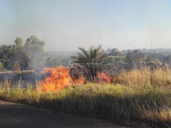 Giornata rovente, incendi in tutto il Salento. Le fiamme divorano ettari di macchia, in azione canadair - Corriere Salentino