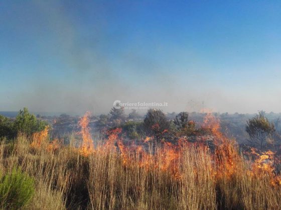 Giornata rovente, incendi in tutto il Salento. Le fiamme divorano ettari di macchia, in azione canadair - Corriere Salentino
