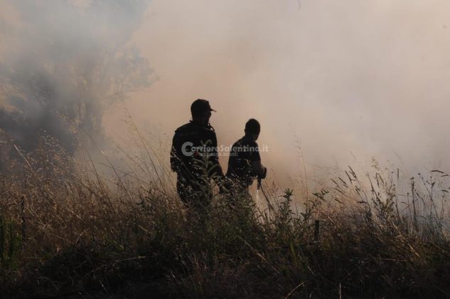 Giornata rovente, incendi in tutto il Salento. Le fiamme divorano ettari di macchia, in azione canadair - Corriere Salentino