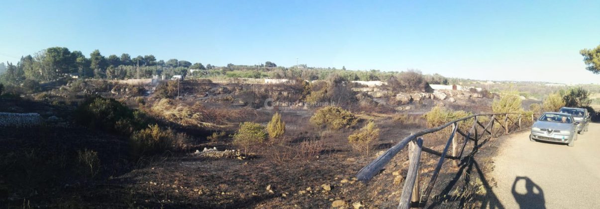 Giornata rovente, incendi in tutto il Salento. Le fiamme divorano ettari di macchia, in azione canadair - Corriere Salentino