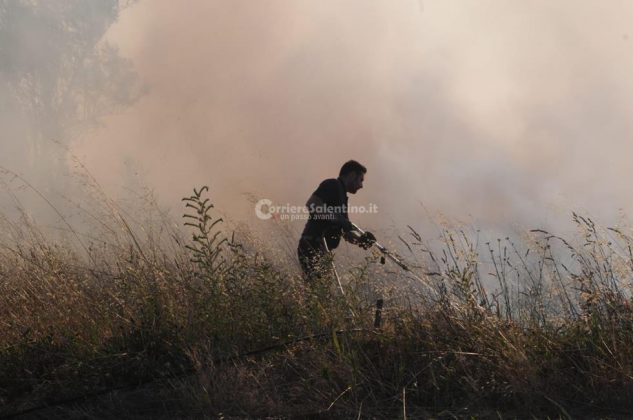 Giornata rovente, incendi in tutto il Salento. Le fiamme divorano ettari di macchia, in azione canadair - Corriere Salentino
