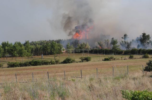 Giornata rovente, incendi in tutto il Salento. Le fiamme divorano ettari di macchia, in azione canadair - Corriere Salentino