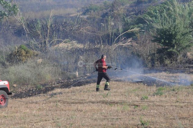Giornata rovente, incendi in tutto il Salento. Le fiamme divorano ettari di macchia, in azione canadair - Corriere Salentino