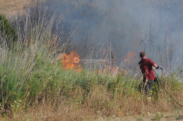 Giornata rovente, incendi in tutto il Salento. Le fiamme divorano ettari di macchia, in azione canadair - Corriere Salentino