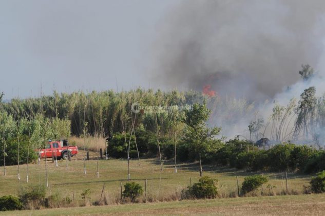 Giornata rovente, incendi in tutto il Salento. Le fiamme divorano ettari di macchia, in azione canadair - Corriere Salentino