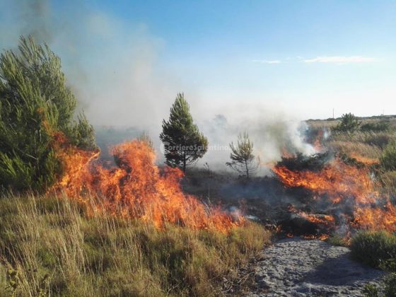 Giornata rovente, incendi in tutto il Salento. Le fiamme divorano ettari di macchia, in azione canadair - Corriere Salentino