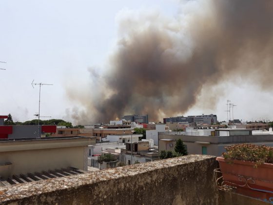Incendio nel boschetto di San Cesario, fumo “minaccia” anche l’ospedale. Intervengono i canadair in tangenziale - Corriere Salentino