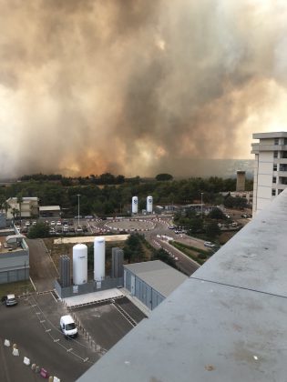 Incendio nel boschetto di San Cesario, fumo “minaccia” anche l’ospedale. Intervengono i canadair in tangenziale - Corriere Salentino