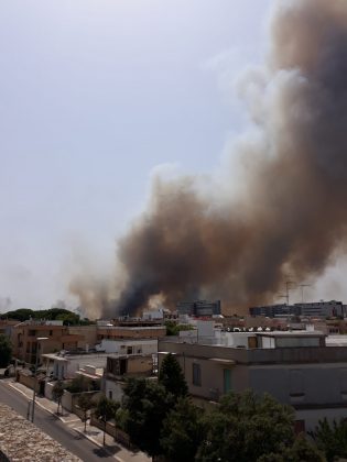 Incendio nel boschetto di San Cesario, fumo “minaccia” anche l’ospedale. Intervengono i canadair in tangenziale - Corriere Salentino
