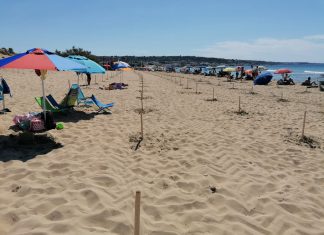 Salento, sulla spiaggia libera segnaposto per gli ombrelloni, il sindaco: “Così evitiamo le calche”