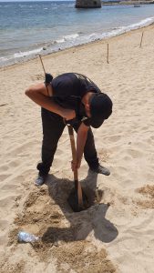 Paletti di legno per distanziare gli ombrelloni: incivili li spezzano e diventano oggetti pericolosi - Corriere Salentino