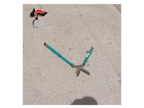 Minaccia il padre con una cesoia per farsi dare i soldi, poi scaglia pietre sulla sua auto e tenta il suicidio - Corriere Salentino