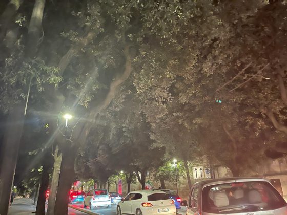 Italia in finale, la festa a Lecce fino a notte fonda - Corriere Salentino