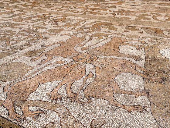 Alla scoperta del Salento: Il Mosaico e l'Albero sefirotico di Otranto - Corriere Salentino