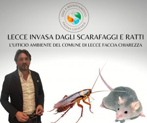 Idee e Rinnovamento: Lecce invasa dagli scarafaggi e ratti, l’Ufficio ambiente faccia chiarezza - Corriere Salentino