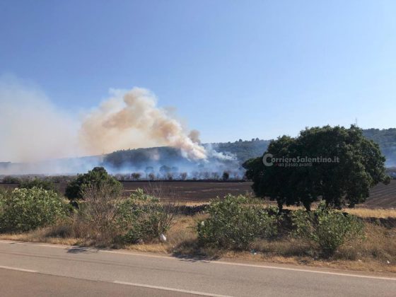 Nuova giornata infernale in tutto il Salento: in fumo ettari di vegetazione, intervengono i canadair - Corriere Salentino