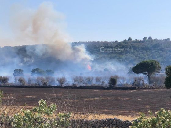 Nuova giornata infernale in tutto il Salento: in fumo ettari di vegetazione, intervengono i canadair - Corriere Salentino