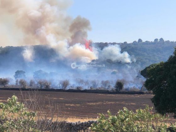 Nuova giornata infernale in tutto il Salento: in fumo ettari di vegetazione, intervengono i canadair - Corriere Salentino