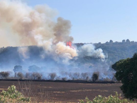 Nuova giornata infernale in tutto il Salento: in fumo ettari di vegetazione, intervengono i canadair - Corriere Salentino