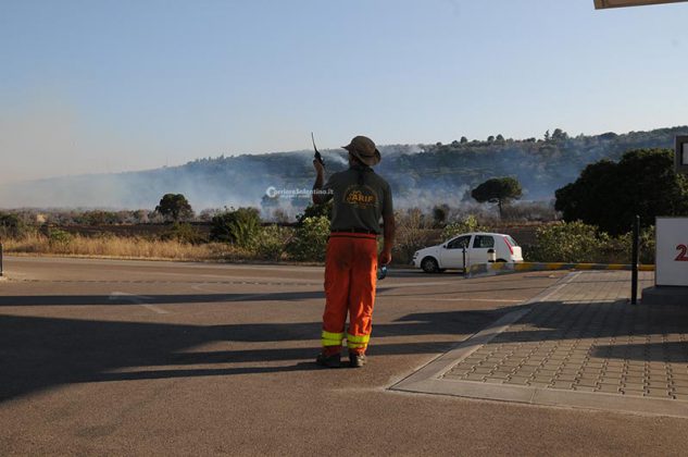 Nuova giornata infernale in tutto il Salento: in fumo ettari di vegetazione, intervengono i canadair - Corriere Salentino