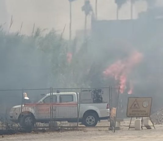 Volontari Protezione civile: “Dimenticati dal governo pugliese, sospendiamo attività antincendio”