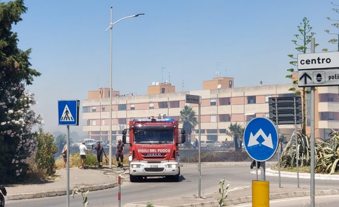 Mezzogiorno rovente, incendio divampa nel centro abitato: fuoco minaccia case e negozi - Corriere Salentino