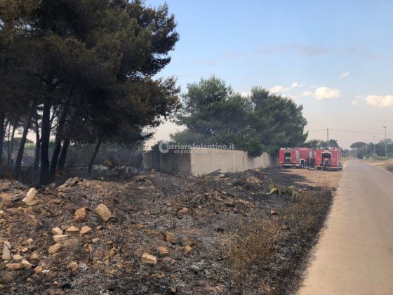 Continuano incendi in Salento: a fuoco uliveti e bosco. Fiamme raggiungono il giardino di una villa - Corriere Salentino