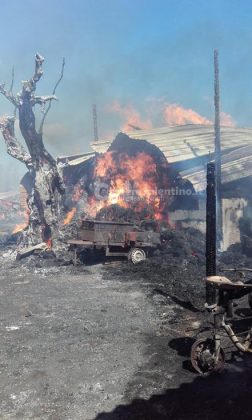 Vasto incendio in masseria: in cenere fienili e mezzi agricoli. Animali tratti in salvo - Corriere Salentino