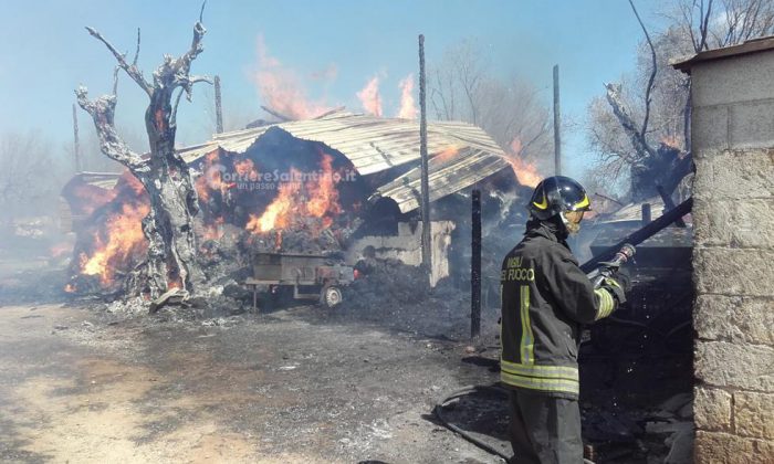 Vasto incendio in masseria: in cenere fienili e mezzi agricoli. Animali tratti in salvo - Corriere Salentino