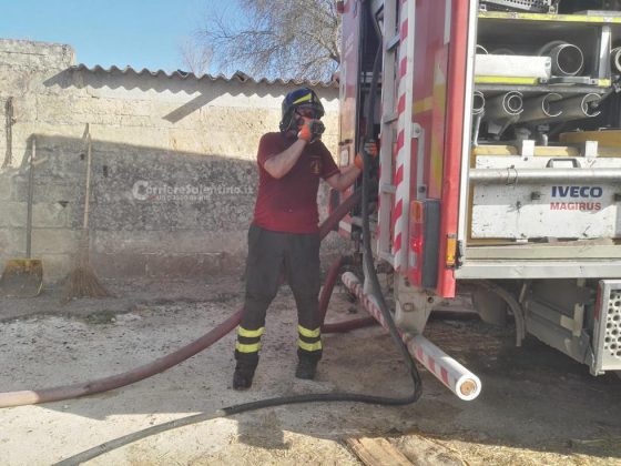 Vasto incendio in masseria: in cenere fienili e mezzi agricoli. Animali tratti in salvo - Corriere Salentino