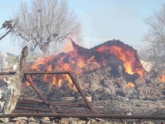 Vasto incendio in masseria: in cenere fienili e mezzi agricoli. Animali tratti in salvo - Corriere Salentino