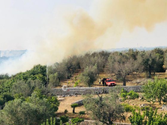 Domenica infernale, ancora incendi in Salento: fiamme minacciano struttura ricettiva e case, chiusa la provinciale - Corriere Salentino