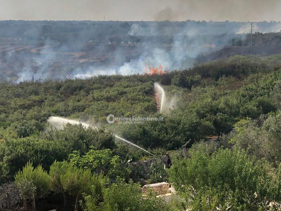Domenica infernale, ancora incendi in Salento: fiamme minacciano struttura ricettiva e case, chiusa la provinciale - Corriere Salentino