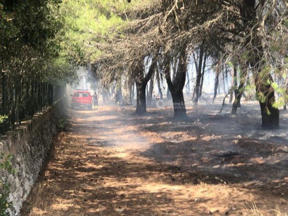 Incendio nel boschetto di San Cesario, fumo “minaccia” anche l’ospedale. Intervengono i canadair in tangenziale - Corriere Salentino
