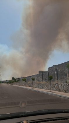 Incendio nel boschetto di San Cesario, fumo “minaccia” anche l’ospedale. Intervengono i canadair in tangenziale - Corriere Salentino