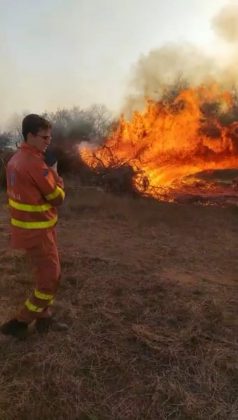 Incendio brucia quasi 15 ettari: sterpaglie ed alberi di ulivo in cenere. Lo scenario è spettrale - Corriere Salentino