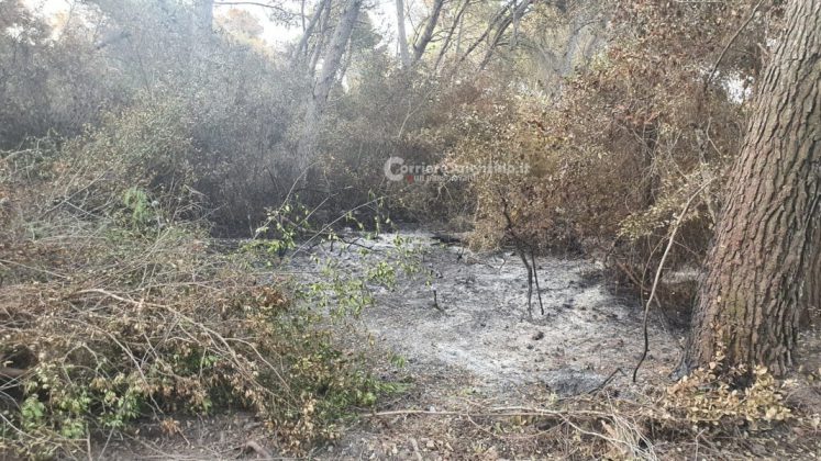 Dopo oltre una settimana dai roghi, gli Alimini tornano alla "normalità": terminato il presidio dei vigili del fuoco - Corriere Salentino