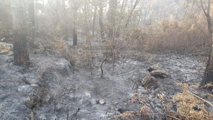 Dopo oltre una settimana dai roghi, gli Alimini tornano alla "normalità": terminato il presidio dei vigili del fuoco - Corriere Salentino