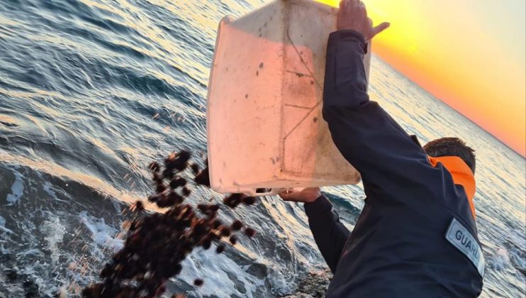 Occupazione di spiagge libere, abusivismo e prodotto ittico non tracciato: scattano denunce, sequestri e sanzioni - Corriere Salentino