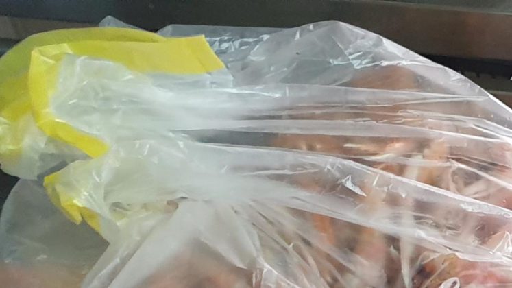 Occupazione di spiagge libere, abusivismo e prodotto ittico non tracciato: scattano denunce, sequestri e sanzioni - Corriere Salentino