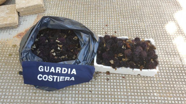 Occupazione di spiagge libere, abusivismo e prodotto ittico non tracciato: scattano denunce, sequestri e sanzioni - Corriere Salentino