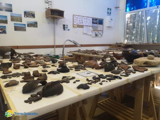 Scoperta a Torre Guaceto la necropoli della comunità che viveva sul promontorio della torre - Corriere Salentino